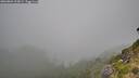 ./images/calvert/foggy-cove/20260804/foggy-cove20260804_102001M.jpg