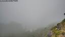 ./images/calvert/foggy-cove/20260804/foggy-cove20260804_103001M.jpg