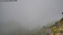 ./images/calvert/foggy-cove/20260804/foggy-cove20260804_103501M.jpg