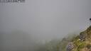 ./images/calvert/foggy-cove/20260804/foggy-cove20260804_104501M.jpg