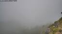 ./images/calvert/foggy-cove/20260804/foggy-cove20260804_105001M.jpg