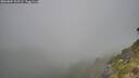 ./images/calvert/foggy-cove/20260804/foggy-cove20260804_105501M.jpg