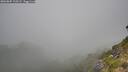 ./images/calvert/foggy-cove/20260804/foggy-cove20260804_110501M.jpg