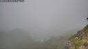 ./images/calvert/foggy-cove/20260804/foggy-cove20260804_111001M.jpg