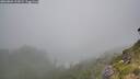 ./images/calvert/foggy-cove/20260804/foggy-cove20260804_112002M.jpg
