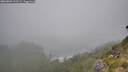 ./images/calvert/foggy-cove/20260804/foggy-cove20260804_112501M.jpg