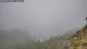 ./images/calvert/foggy-cove/20260804/foggy-cove20260804_113001M.jpg