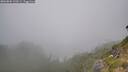 ./images/calvert/foggy-cove/20260804/foggy-cove20260804_120501M.jpg