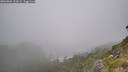 ./images/calvert/foggy-cove/20260804/foggy-cove20260804_121002M.jpg