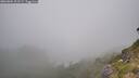 ./images/calvert/foggy-cove/20260804/foggy-cove20260804_121501M.jpg