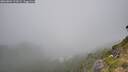 ./images/calvert/foggy-cove/20260804/foggy-cove20260804_122002M.jpg