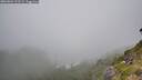 ./images/calvert/foggy-cove/20260804/foggy-cove20260804_122501M.jpg
