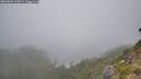 ./images/calvert/foggy-cove/20260804/foggy-cove20260804_123001M.jpg