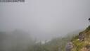 ./images/calvert/foggy-cove/20260804/foggy-cove20260804_124502M.jpg