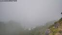 ./images/calvert/foggy-cove/20260804/foggy-cove20260804_125501M.jpg
