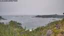 ./images/calvert/foggy-cove/20260804/foggy-cove20260804_134501M.jpg