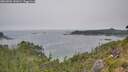 ./images/calvert/foggy-cove/20260804/foggy-cove20260804_141001M.jpg