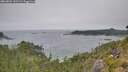 ./images/calvert/foggy-cove/20260804/foggy-cove20260804_141501M.jpg