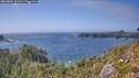 ./images/calvert/foggy-cove/20260804/foggy-cove20260804_162001M.jpg