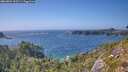 ./images/calvert/foggy-cove/20260804/foggy-cove20260804_162501M.jpg