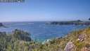 ./images/calvert/foggy-cove/20260804/foggy-cove20260804_163001M.jpg