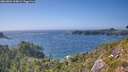 ./images/calvert/foggy-cove/20260804/foggy-cove20260804_164002M.jpg