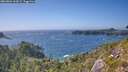 ./images/calvert/foggy-cove/20260804/foggy-cove20260804_164501M.jpg
