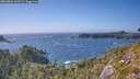 ./images/calvert/foggy-cove/20260804/foggy-cove20260804_165501M.jpg