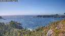 ./images/calvert/foggy-cove/20260804/foggy-cove20260804_171001M.jpg