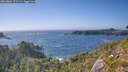 ./images/calvert/foggy-cove/20260804/foggy-cove20260804_171501M.jpg