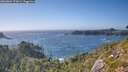 ./images/calvert/foggy-cove/20260804/foggy-cove20260804_172001M.jpg