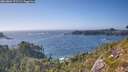 ./images/calvert/foggy-cove/20260804/foggy-cove20260804_172501M.jpg