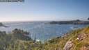 ./images/calvert/foggy-cove/20260804/foggy-cove20260804_174501M.jpg