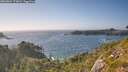 ./images/calvert/foggy-cove/20260804/foggy-cove20260804_175001M.jpg