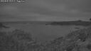 ./images/calvert/foggy-cove/20260805/foggy-cove20260805_052501M.jpg