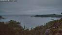 ./images/calvert/foggy-cove/20260805/foggy-cove20260805_054001M.jpg