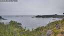 ./images/calvert/foggy-cove/20260805/foggy-cove20260805_072001M.jpg