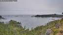 ./images/calvert/foggy-cove/20260805/foggy-cove20260805_072501M.jpg