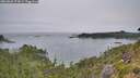 ./images/calvert/foggy-cove/20260805/foggy-cove20260805_073001M.jpg