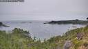 ./images/calvert/foggy-cove/20260805/foggy-cove20260805_073502M.jpg