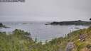 ./images/calvert/foggy-cove/20260805/foggy-cove20260805_074501M.jpg