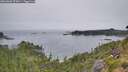 ./images/calvert/foggy-cove/20260805/foggy-cove20260805_075001M.jpg