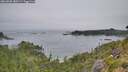 ./images/calvert/foggy-cove/20260805/foggy-cove20260805_080501M.jpg