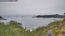 ./images/calvert/foggy-cove/20260805/foggy-cove20260805_081001M.jpg