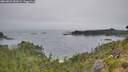 ./images/calvert/foggy-cove/20260805/foggy-cove20260805_082001M.jpg