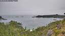 ./images/calvert/foggy-cove/20260805/foggy-cove20260805_082502M.jpg