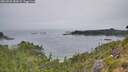 ./images/calvert/foggy-cove/20260805/foggy-cove20260805_083001M.jpg