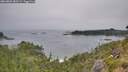 ./images/calvert/foggy-cove/20260805/foggy-cove20260805_083501M.jpg