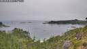 ./images/calvert/foggy-cove/20260805/foggy-cove20260805_084501M.jpg