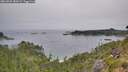 ./images/calvert/foggy-cove/20260805/foggy-cove20260805_085002M.jpg